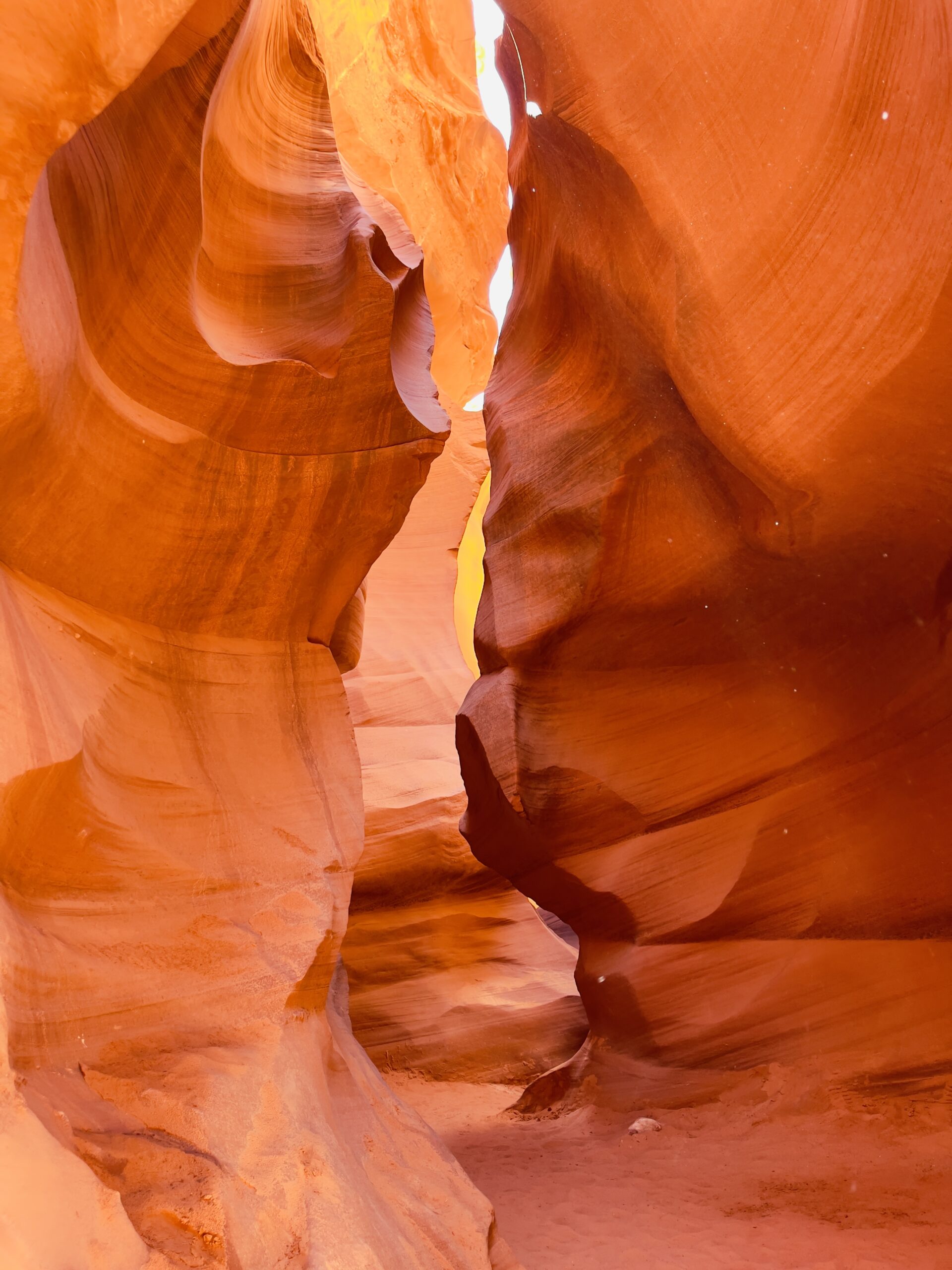 56